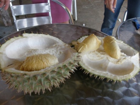 Nice & Tasty Durian